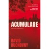 Acumulare - David Duchovny, editia 2023, Curtea Veche Publishing. Roman thriller despre obsesii si singuratate