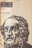 Iliada (Editie 1985, Traducere George Murnu)