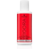 Schwarzkopf Professional IGORA Royal lotiune activa 6 % Vol.20 60 ml