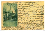 5030 - ARGES, Ethnics, Litho, Romania - old postcard - used - 1900