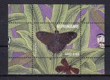 SURINAM 2020 FAUNA INSECTE FLUTURI