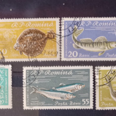 Romania 1960 Lp 510 piscicultura serie Ștampilat