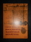 Costin Fenesan - Documente medievale banatene 1440-1653 (1981, editie cartonata)