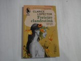 FERICIRE CLANDESTINA - CLARICE LISPECTOR