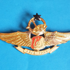 Insigna AVIATIE militara Internationala - Aviator - Pilot - Indonezia