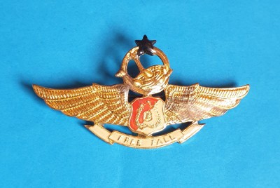 Insigna AVIATIE militara Internationala - Aviator - Pilot - Indonezia foto