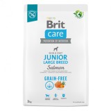 Brit Care Dog Grain-free Junior Large Breed, hrana uscata pentru caini, 3 kg