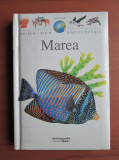 Prima mea enciclopedie. Marea (1996, editie cartonata)