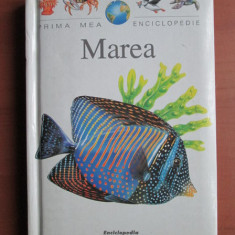 Prima mea enciclopedie. Marea (1996, editie cartonata)
