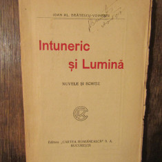 Întuneric și lumină - Ioan Al. Brătescu-Voinești