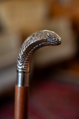 Baston cu maner cap de sarpe foto