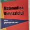 MATEMATICA GIMNAZIULUI INTRE PROFESOR SI ELEV , IOAN DANCILA .