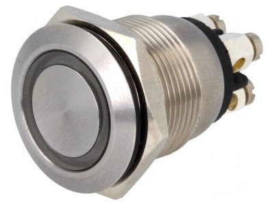 Comutator Anti-Vandalism 2 Poz SPST-NO 0.05A 24VDC IP66 foto