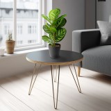Planta artificiala frunze zebra decorativa 34 cm, in ghiveci, design realist, decor casa birou