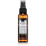 Avon Senses Essence Rosemary &amp; Carrot Seed odorizant de camera 100 ml