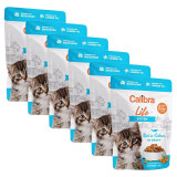 Calibra Cat Life Kitten Somon &icirc;n sos 6 x 85 g