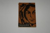 Triunghiul Pop Simion