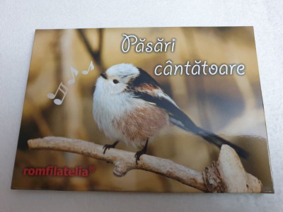 Rom&amp;acirc;nia set maxime 2015 păsări c&amp;acirc;ntătoare foto