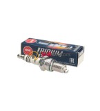 Bujie NGK DCPR8EIX, NGK Spark Plugs