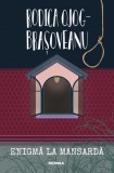 Enigma la mansarda - Rodica Ojog-Brasoveanu - Editura Nemira