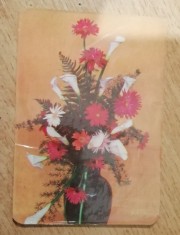 C9 19 - 1981 - Calendar de buzunar - reclama horticultura