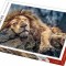 Puzzle clasic - Leu 1000 piese
