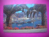 HOPCT 7854 AVALON-CATALINA ISLAND-CALIFORNIA -STAMPILOGRAFIE/FRANCATURA-SUA-AMERICA DE NORD -CIRCULATA