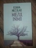 Miezul inimii- Ioana Nicolaie