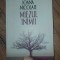 Miezul inimii- Ioana Nicolaie