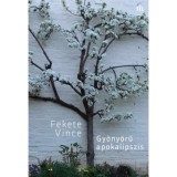 Gy&ouml;ny&ouml;rű apokalipszis - Fekete Vince