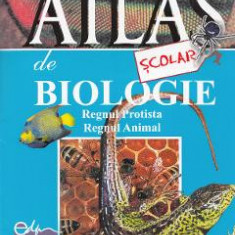 Atlas scolar de biologie. Regnul protista. Regnul animal - Florica Tibea