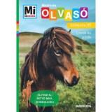 Lovak &eacute;s p&oacute;nik - Mi Micsoda Olvas&oacute; - Matric&aacute;s sz&ouml;vegfejtő - Olvasd el, &eacute;rtsd meg, gondolkodj! - Christina Braun