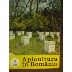 REVISTA APICULTURA IN ROMANIA NR.5/1977 foto