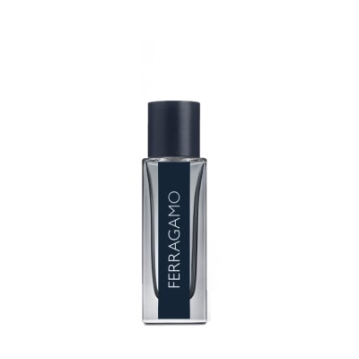 Salvatore Ferragamo, Pour Homme, Apă de toaletă, Bărbați, 50 ml foto