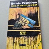 Cuibul de dincolo de umbra - Rnato Pestriniero
