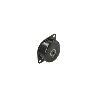 Intinzator curea AUDI A6 4A C4 DAYCO APV2248 foto