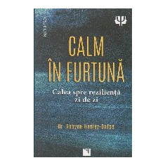 Calm în furtună : calea spre rezilienţă zi de zi