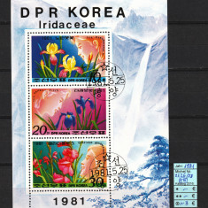 Coreea Nord, 1981 | Flori Iris, Stânjenel - Plante | Bloc / Minisheet | aph