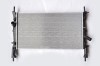 Radiator Racire Motor 48604 TH.01.150