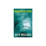Beautiful Days: Stories