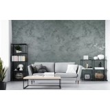 Vopsea decorativă pentru interior Caparol Arte Noblissima Nuante Argintii 1.25L