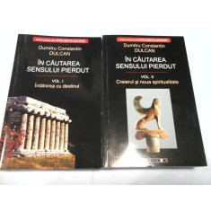 IN CAUTAREA SENSULUI PIERDUT - DUMITRU CONSTANTIN DULCAN - 2 vol