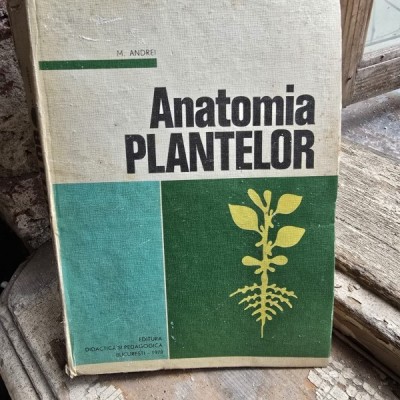 Anatomia plantelor - M. Andrei foto