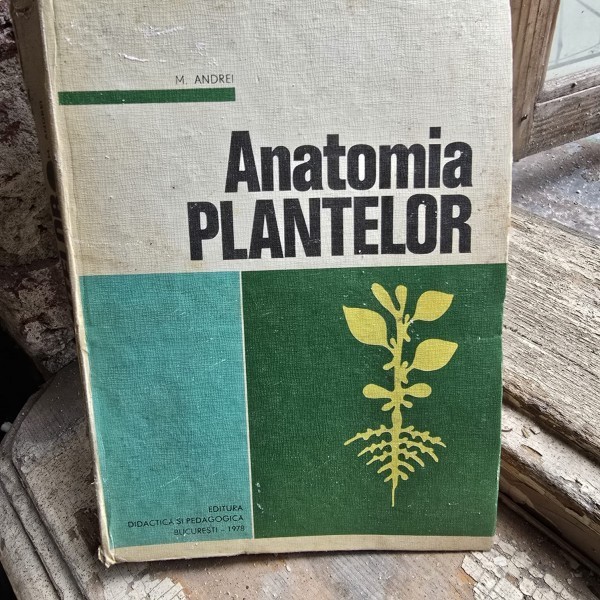 Anatomia plantelor - M. Andrei