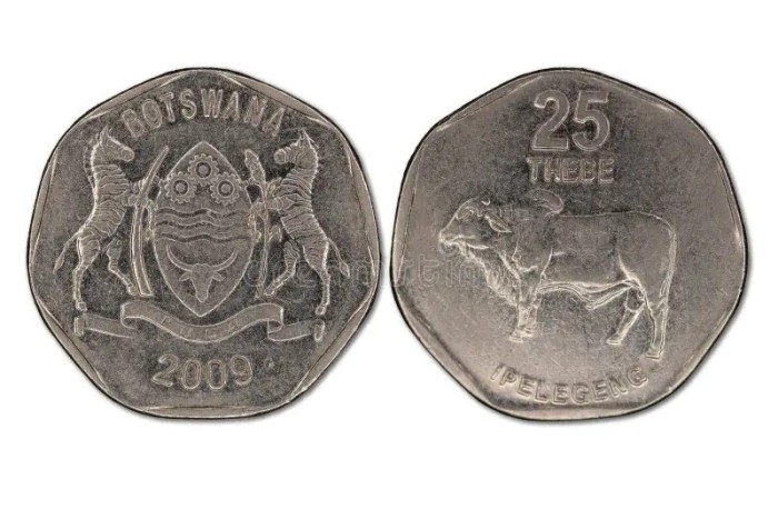 Botswana 2009 - 25 thebe UNC
