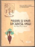 Podgorii si vinuri din judetul Vaslui