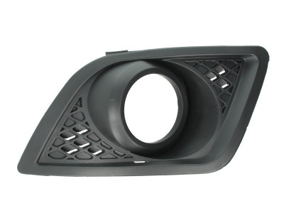 Grila ventilatie, bara protectie FORD FIESTA V (JH, JD) (2001 - 2010) BLIC 5513-00-2564925P foto