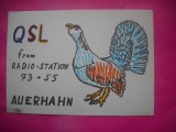 HOPCT 15133 AUERHAHN [ COCOS DE MUNTE ] -GERMANIA--CARTE POSTALA RADIO AMATOR / RADIOAMATORI CARICATURA -CIRCULATA