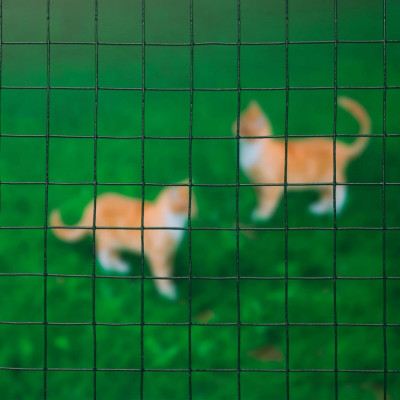 Nature Plasa din sarma verde 1x2,5 m otel cu plastic 25 mm patrat GartenMobel Dekor foto