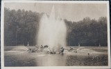 Carte Postala, Parc de Versailles, Le Bassin dApollon, perioada interbelica